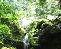 Park Narodowy Ivindo, Gabon