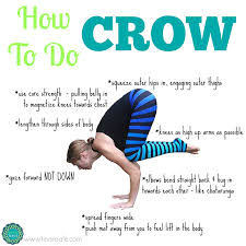 Image result for crow pose