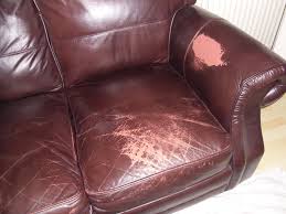 Image result for claw marks on leather furniture