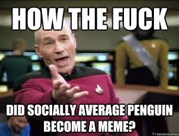 how the fuck did socially average penguin become a meme? - Annoyed ... via Relatably.com