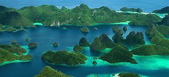 Image result for indonesia facts