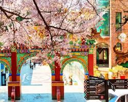 인천 차이나타운 풍경 명소 사진, AI로 생성