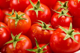 Resultado de imagem para imagem de tomatos
