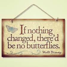 butterflies #quote #quotes #inspiring... - The Positive Tumblr via Relatably.com