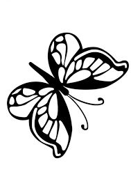 Resultado de imagen de mariposa