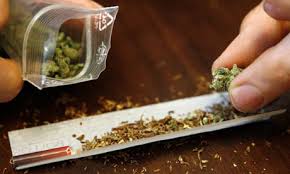 Image result for pictures of cannabis