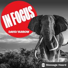 In Focus with David Yarrow