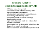 meningoencephalitis