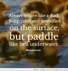 Amazing nine fashionable quotes about like a duck pic English ... via Relatably.com