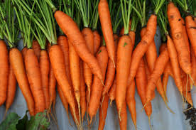 carrot ile ilgili görsel sonucu