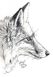 Image result for profile of a fox
